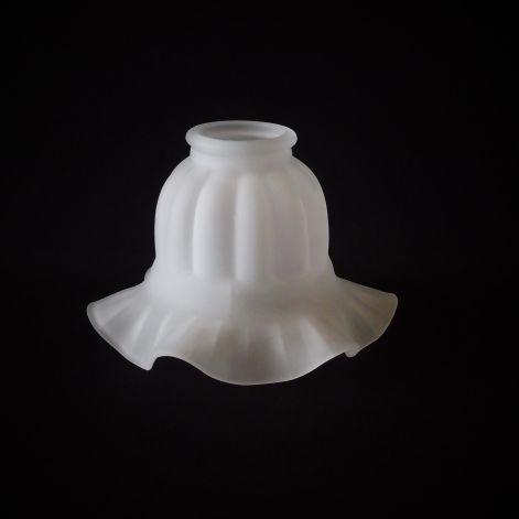 bordazottfodros_tulipan_bura.jpg